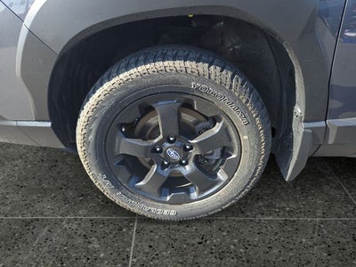 2023 Subaru Forester Wilderness