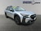2024 Subaru Outback Onyx Edition XT