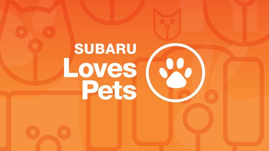 Subaru City of Milwaukee in Milwaukee WI