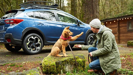 Subaru City of Milwaukee in Milwaukee WI