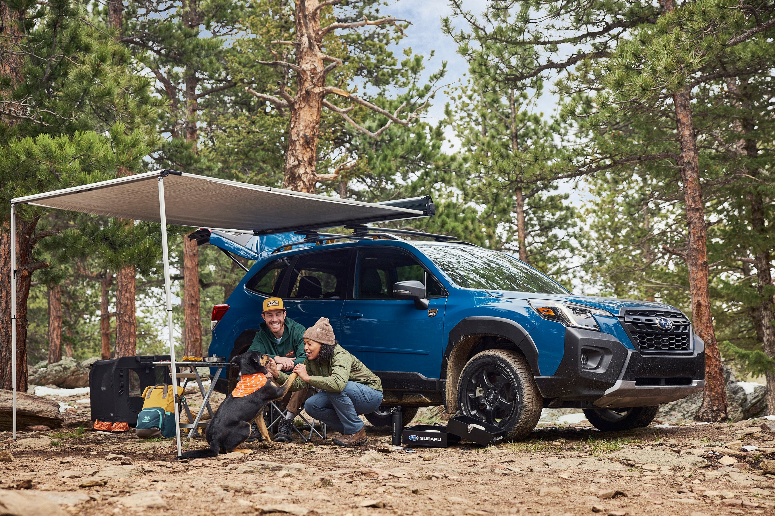 THULE AWNING - ROOF MOUNTED